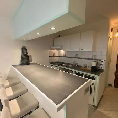 Grand Studio Tres Bien Situe! Apartamento